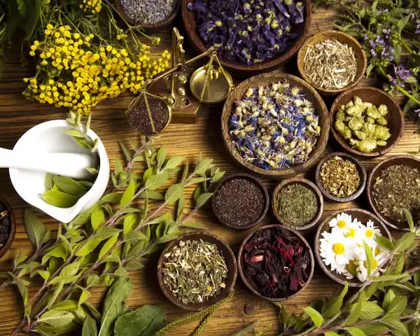 Extracto vegetal Anemopaegma Mirandum Power natural Life