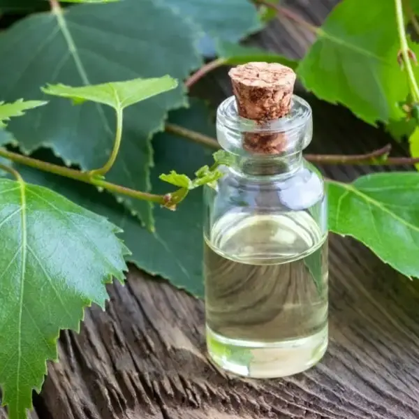 Aceite de Abedul Power Natural Life