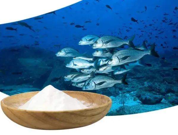 Colágeno de pescado Power Natural Life