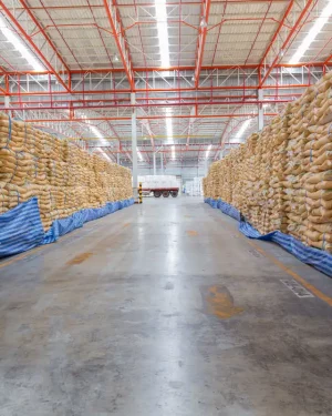 Ácido bórico venta al por mayor Power Natural Life