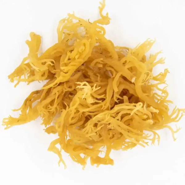 alga musgo de mar eco entera Power Natural Life