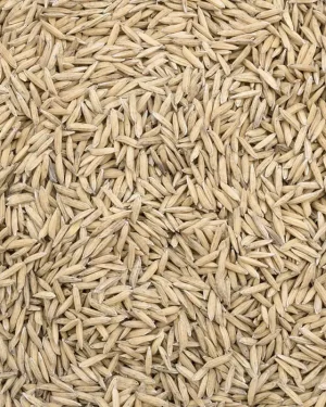 Semillas de arroz Power Natural Life