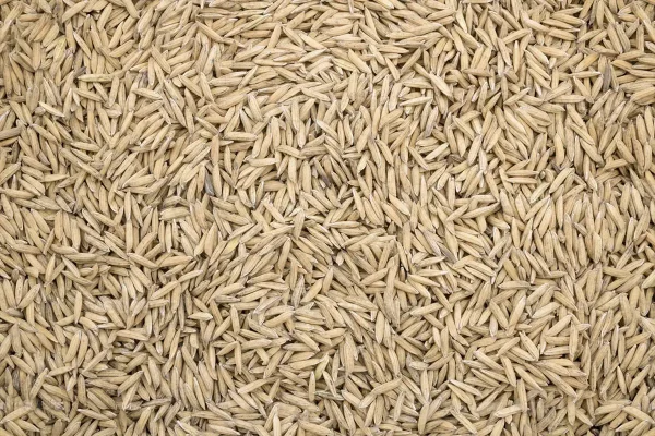 semillas de arroz Power Natural Life