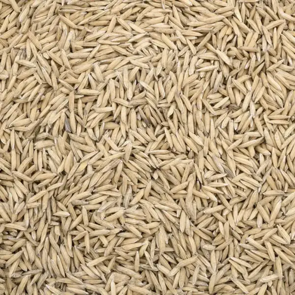 Semillas de arroz Power Natural Life