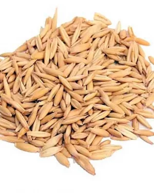 Semillas de avena Power Natural Life