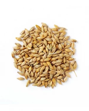 Semillas de cebada Power Natural Life
