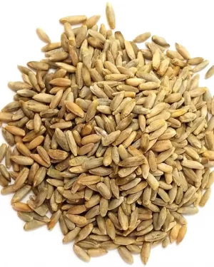 Semillas de centeno Power Natural Life