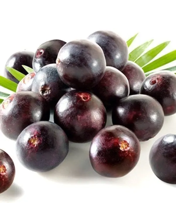 acai Power Natural Life