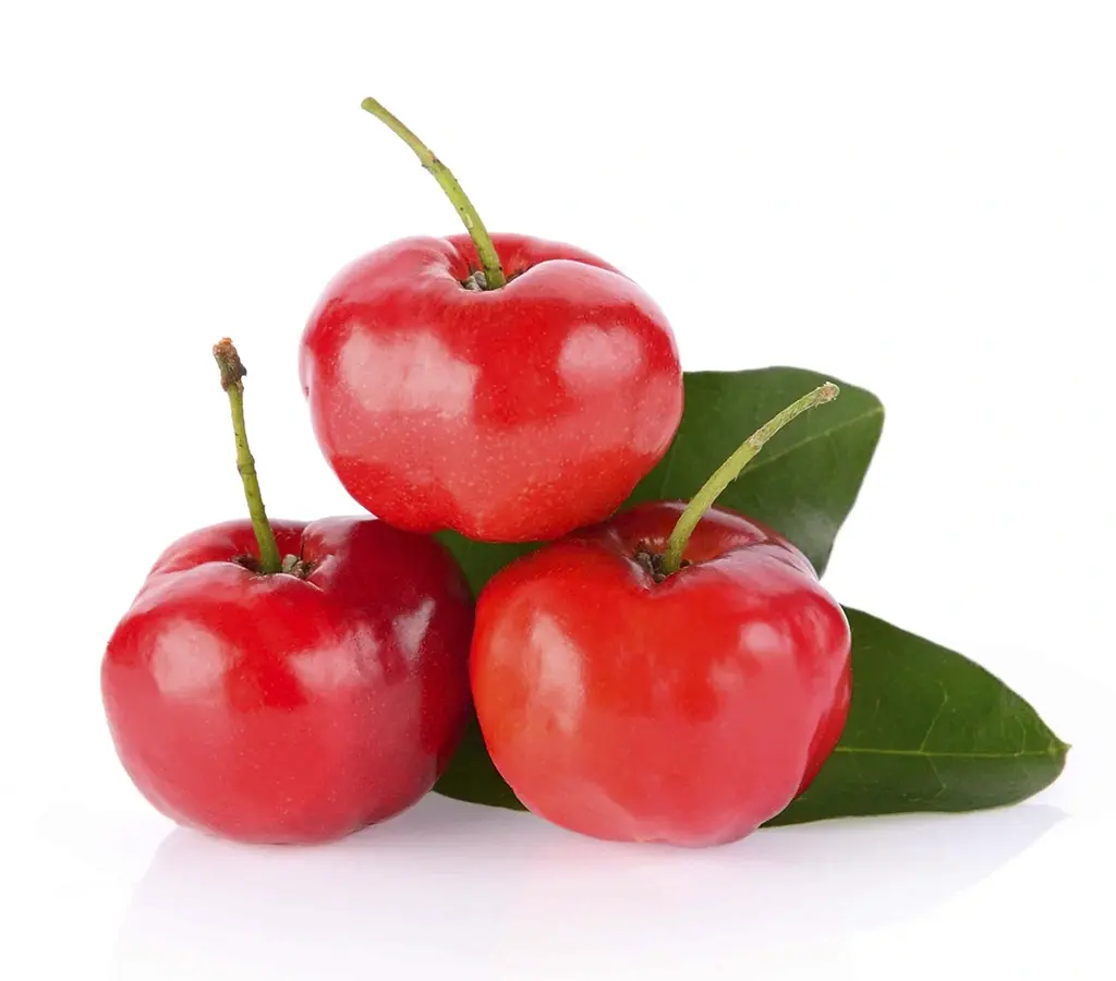 acerola Power Natural Life