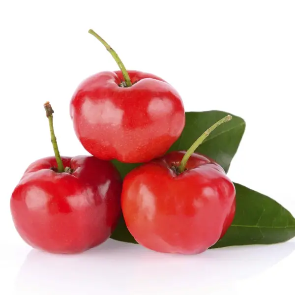 acerola Power Natural Life
