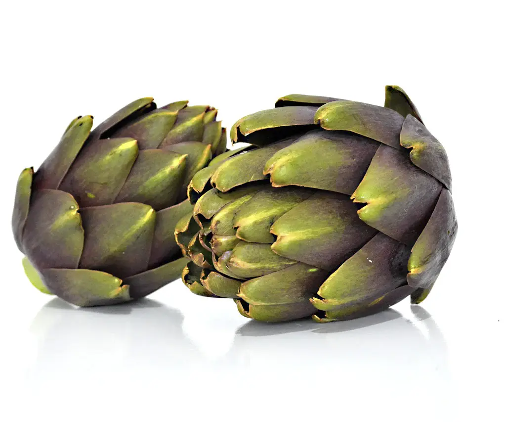 alcachofa Power Natural Life