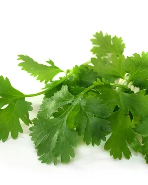 extracto vegetal de cilantro Power Natural Life