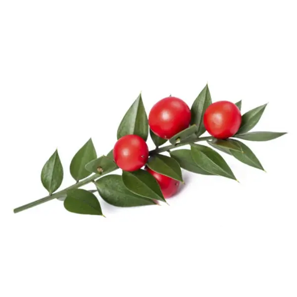 rusco Power Natural Life