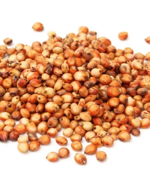 Semillas de sorgo Power Natural Life