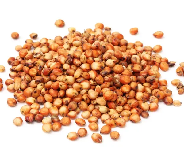 Semillas de sorgo Power Natural Life