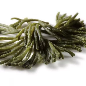 alga codium eco entera Power Natural Life
