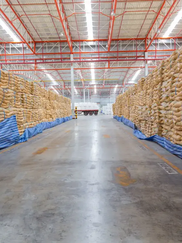 Aromas alimentarios al por mayor Power Natural Life