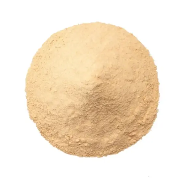 Cebolla frita en polvo Power Natural Life