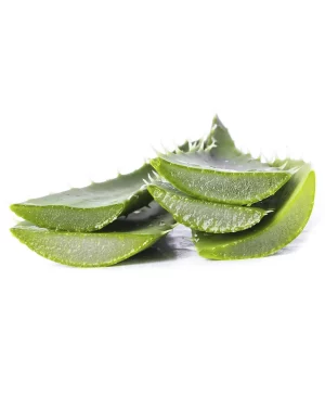 Extracto de Aloe Barbadensis Power natural Life