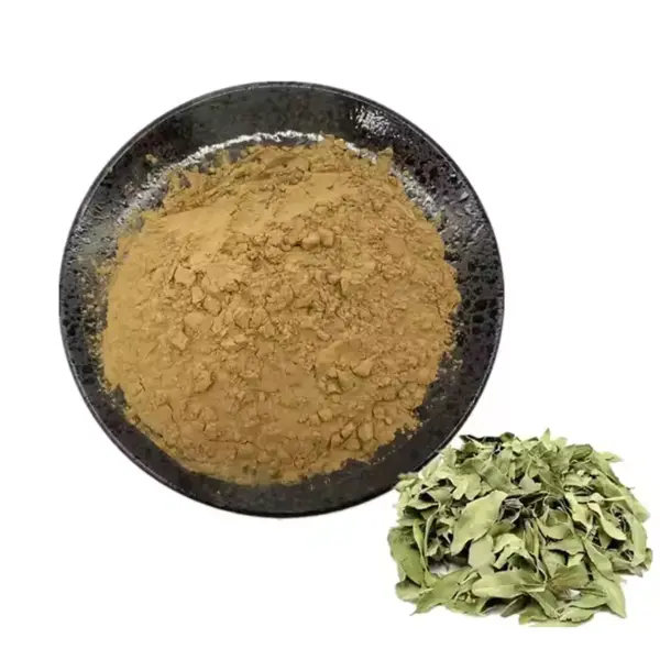 Extracto de Apocynum venetum Power Natural Life