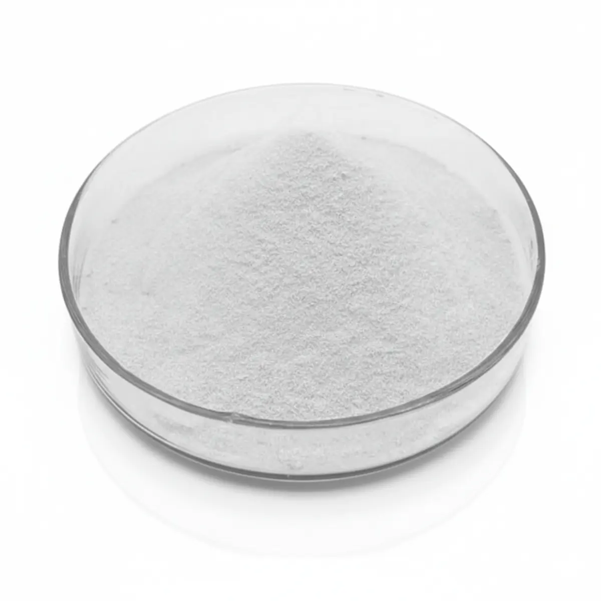 Extracto Vegetal de Huperzia serrata | Comprar - 1 Extracto vegetal de Huperzia serrata