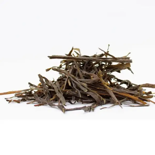 Alga espagueti de mar eco en escamas