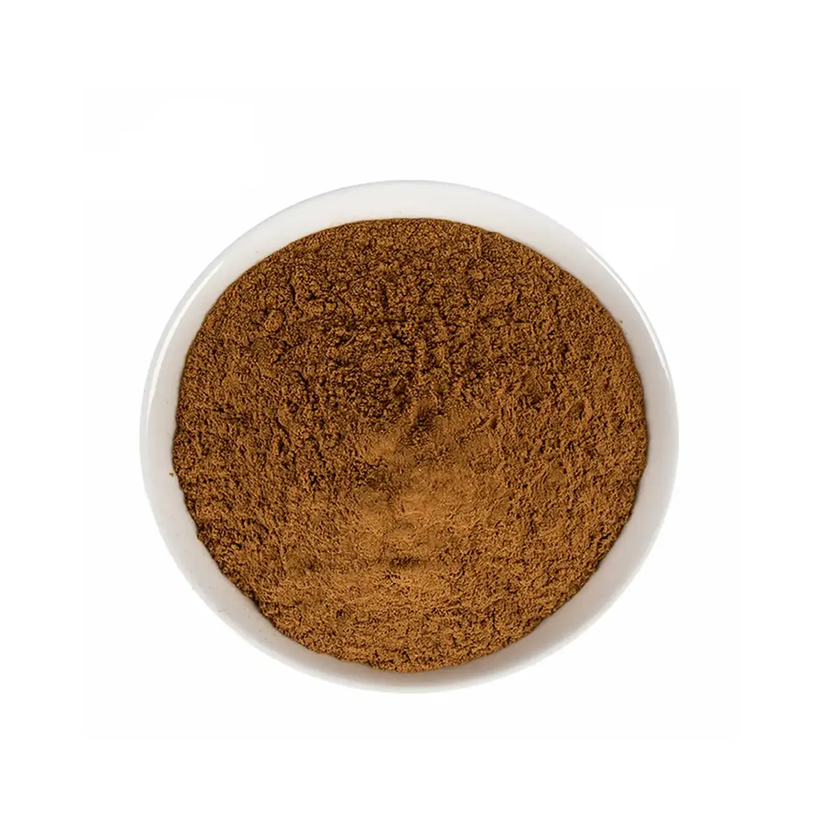 Althea officinalis | Malvavisco | Comprar - 1 Althea officinalis