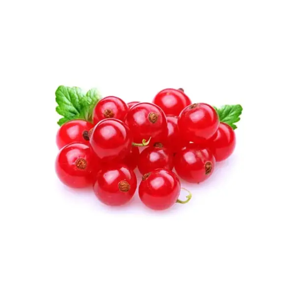 Aroma alimentario de grosella