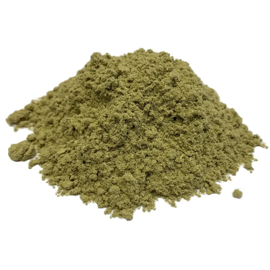Artemisia absinthium