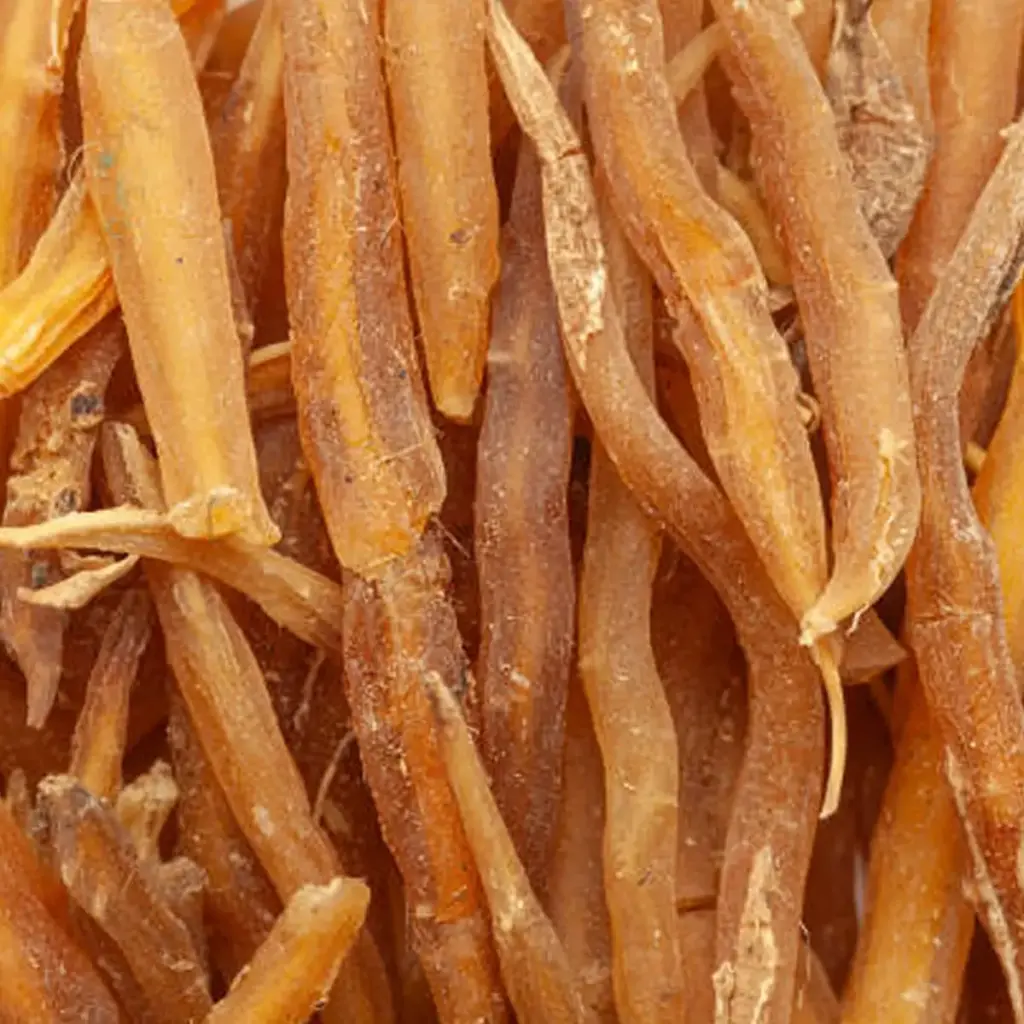 Extracto vegetal de Asparagus racemosus