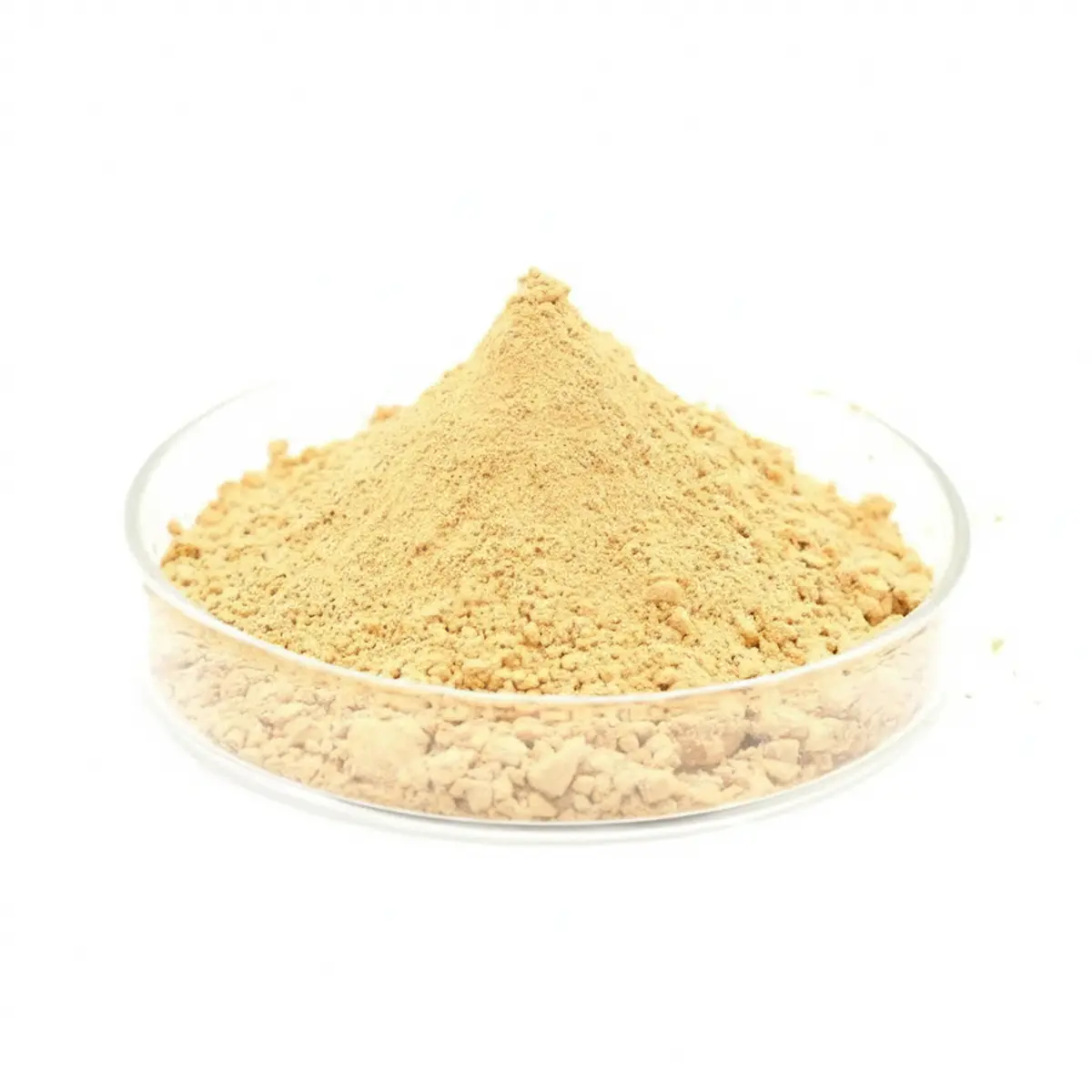 Cardo Mariano | Comprar - 1 Extarcto de cardo mariano en polvo