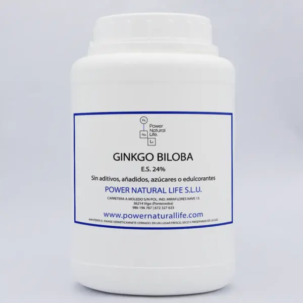 Ginkgo biloba