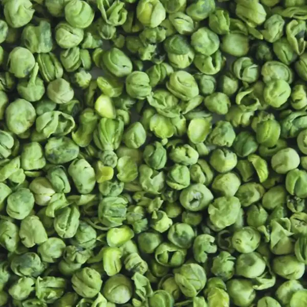 Guisante deshidratado