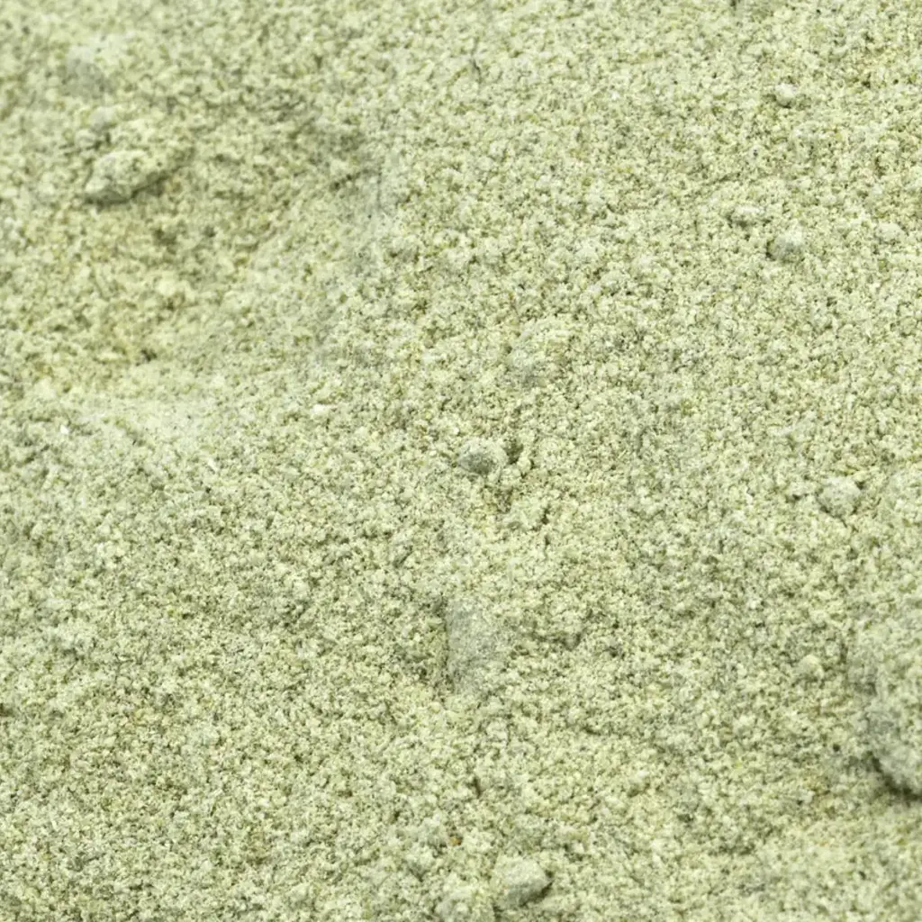 Hojas y tallo de apio deshidratado en polvo