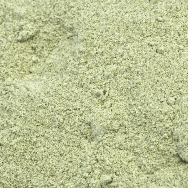 Hojas y tallo de apio deshidratado en polvo