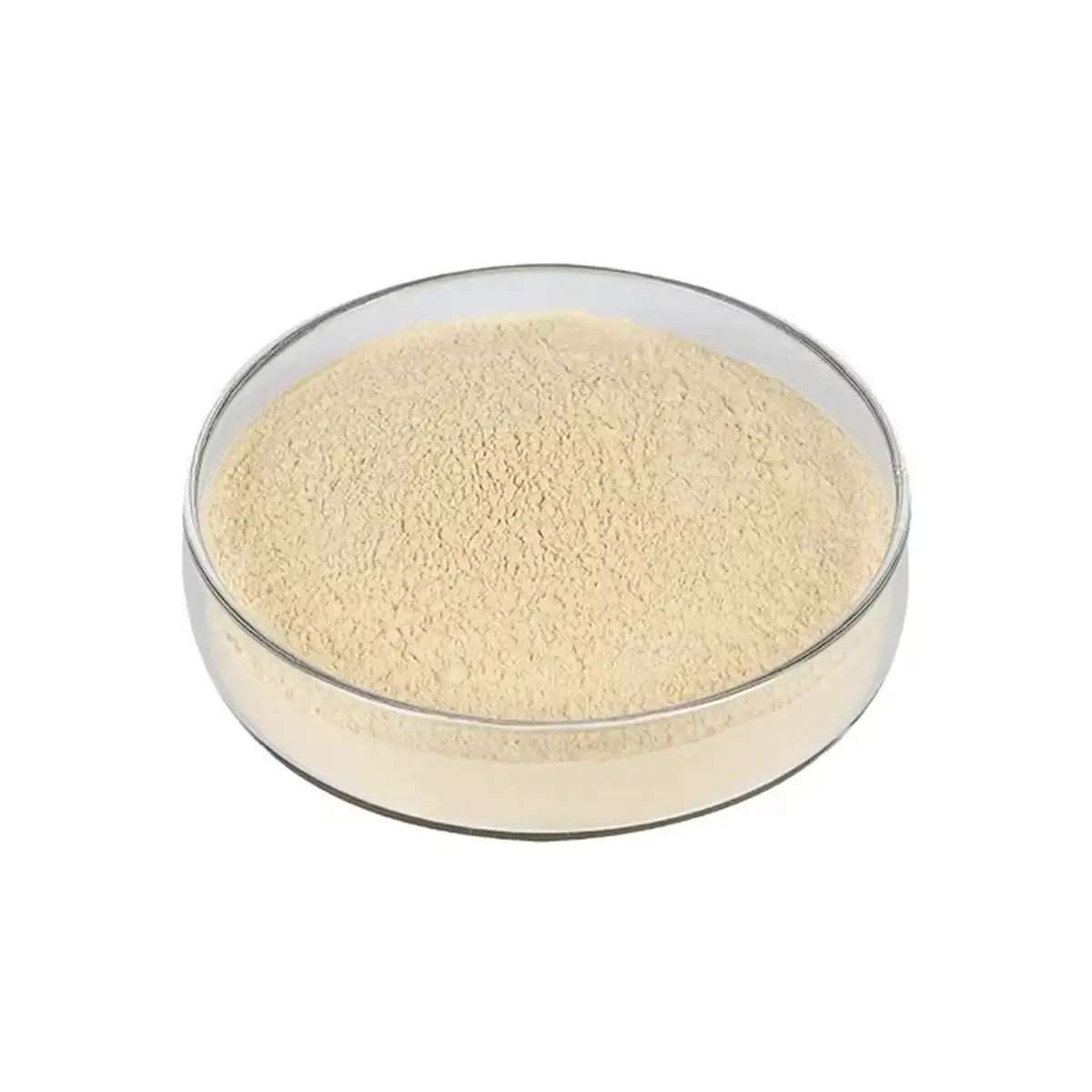 Isoflavonas de Soja | Comprar - 1 Isoflavonas de soja