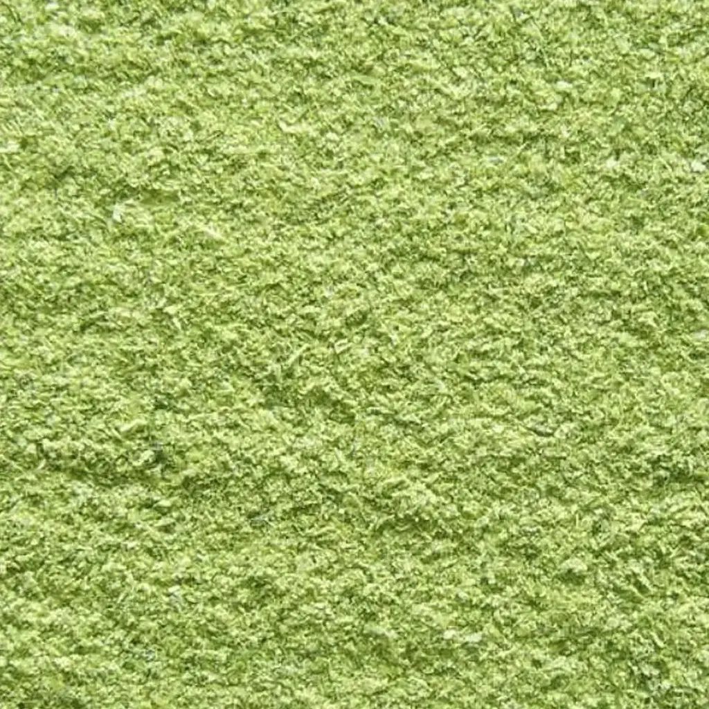 Judía deshidratada en polvo