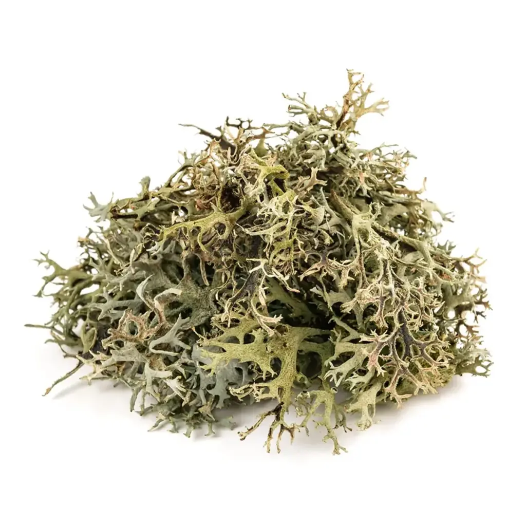 Extractos vegetales - 5 Líquen de Islandia