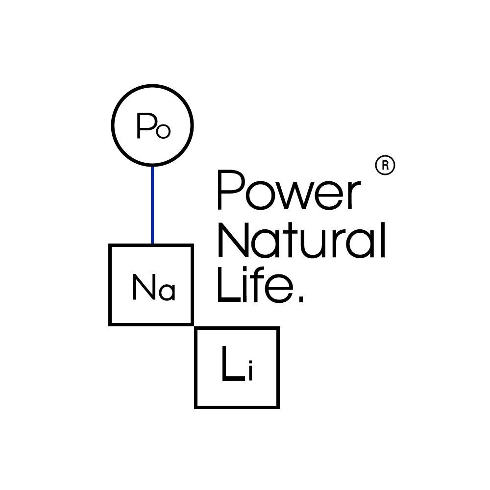 logo power registrado