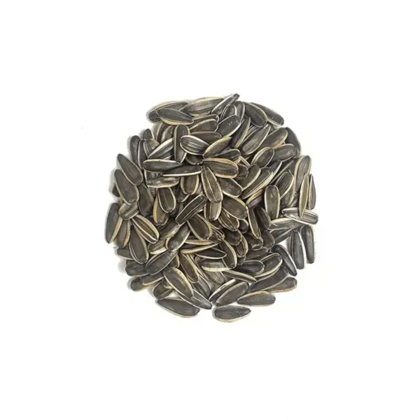 Semillas de pipa de girasol