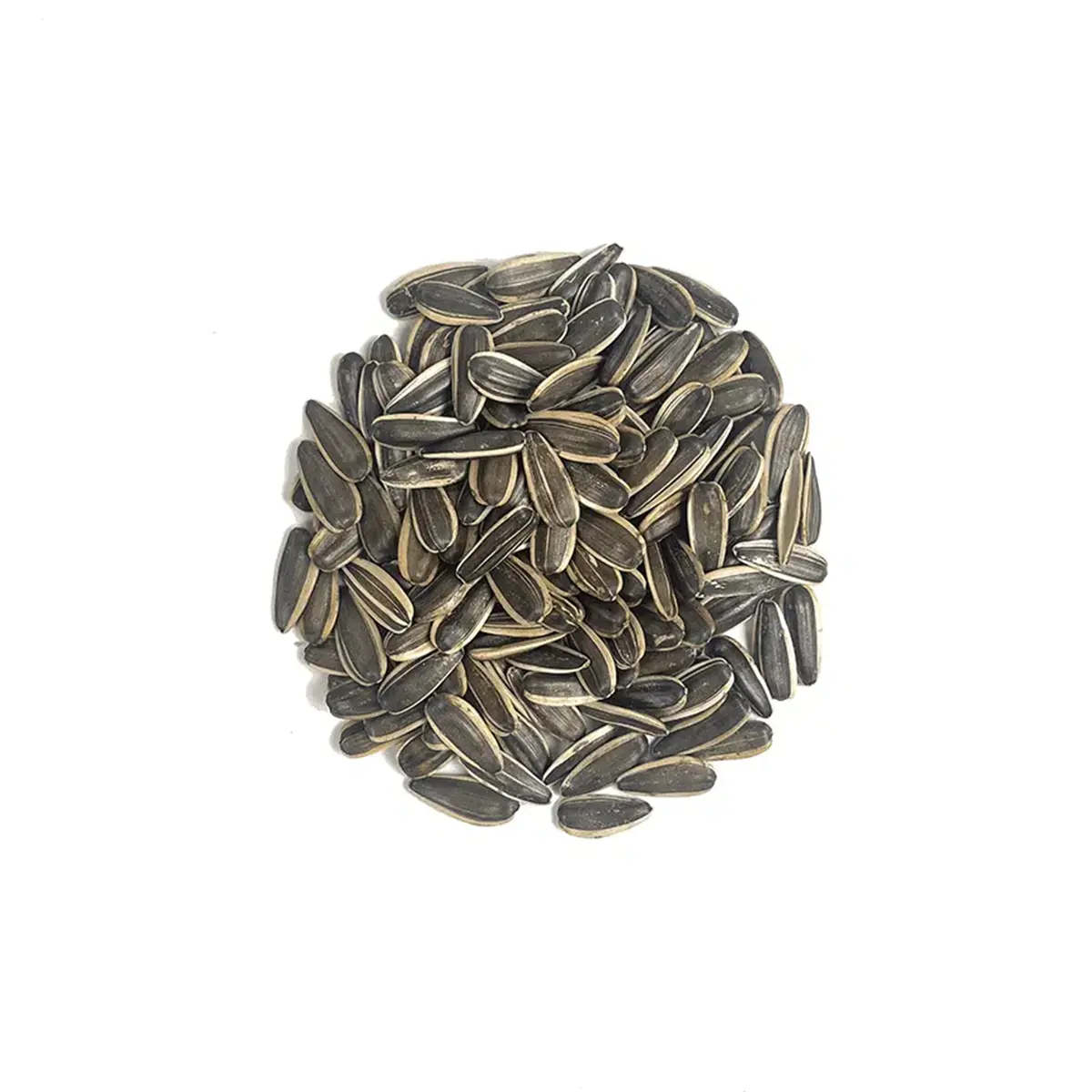 Semillas de Pipa de Girasol | Comprar - 1 Semillas de pipa de girasol