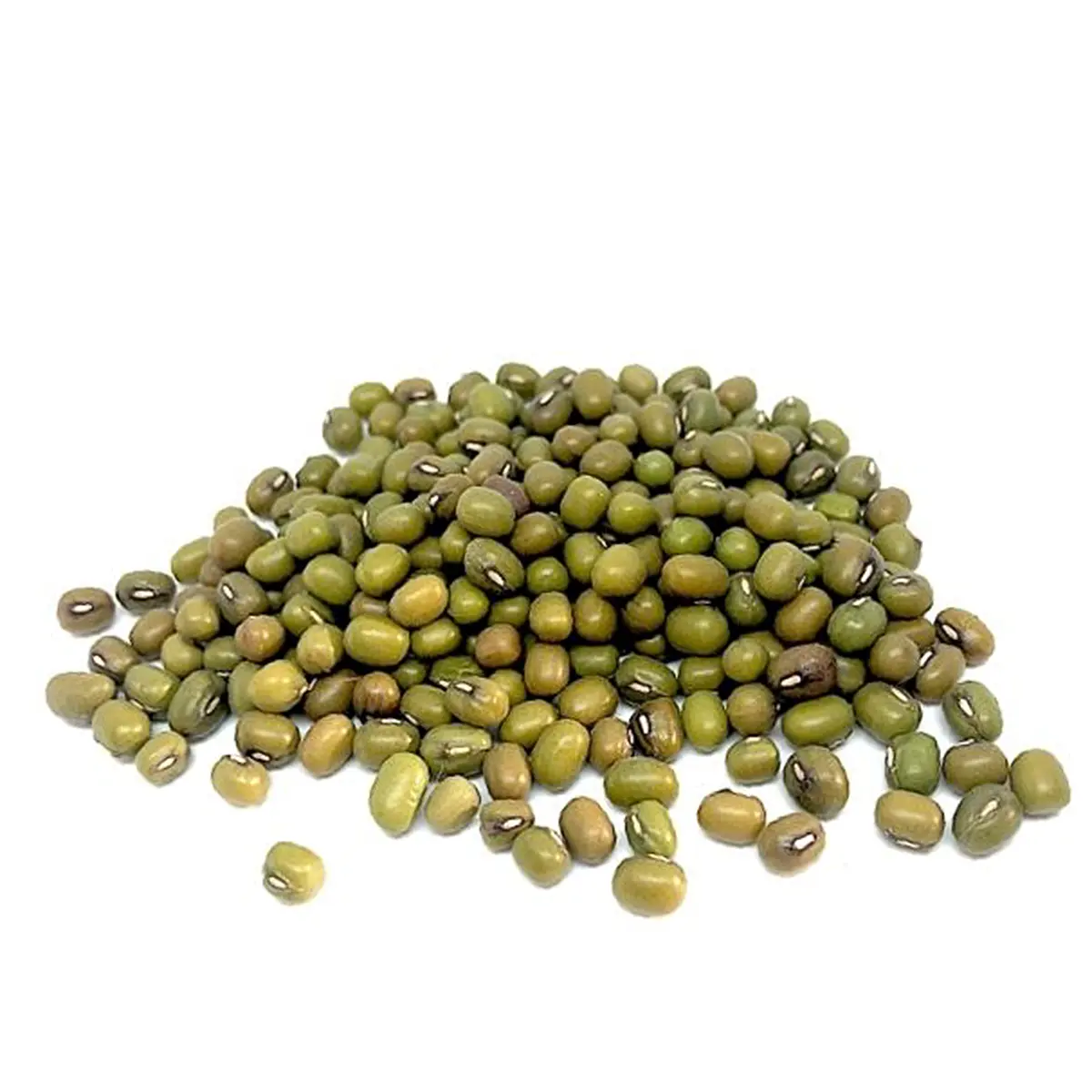 Semillas de Soja | Comprar - 1 Semillas de soja